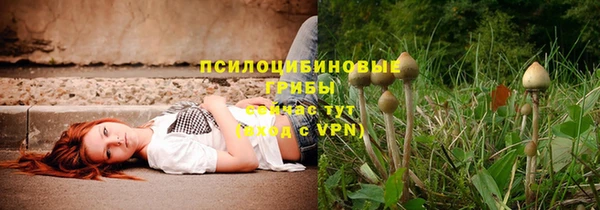 ГАЛЛЮЦИНОГЕННЫЕ ГРИБЫ Майский