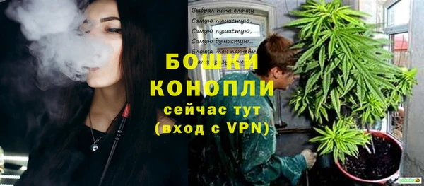 ГАЛЛЮЦИНОГЕННЫЕ ГРИБЫ Майский